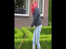Vossenjacht Vossenjacht